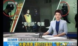 宁夏吴某爆料新闻事件视频,揭秘背后真相